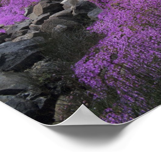 CA, Crescent City, Battery Point Leuchtturm mit Poster (Ecke)