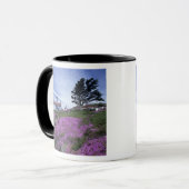 CA, Crescent City, Battery Point Leuchtturm mit Tasse (Vorderseite Links)