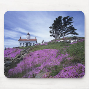 CA, Crescent City, Leuchtturm Battery Point mit Mousepad