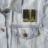 CA, Jedediah Smith Redwoods Staat Park, Button (Beispiel)