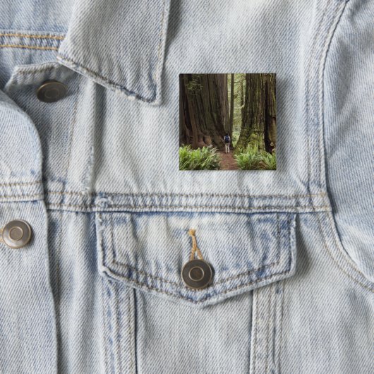 CA, Jedediah Smith Redwoods Staat Park, Button (Beispiel)