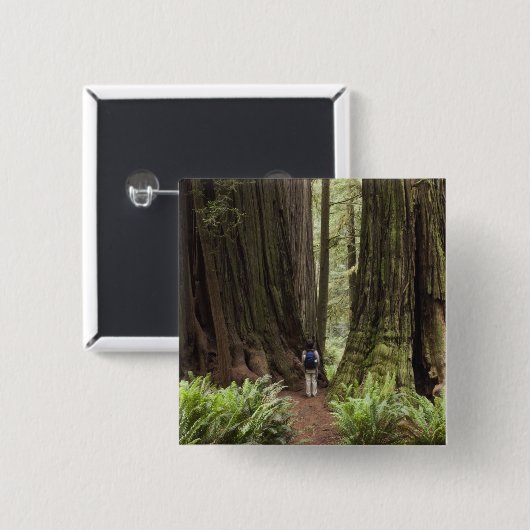 CA, Jedediah Smith Redwoods Staat Park, Button (Vorne & Hinten)