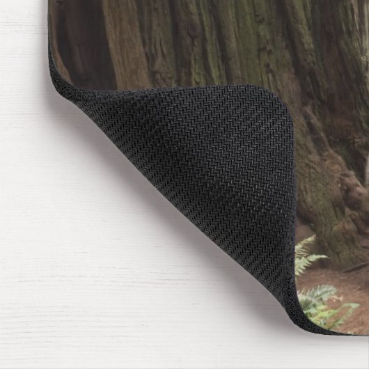 CA, Jedediah Smith Redwoods Staat Park, Mousepad (Ecke)