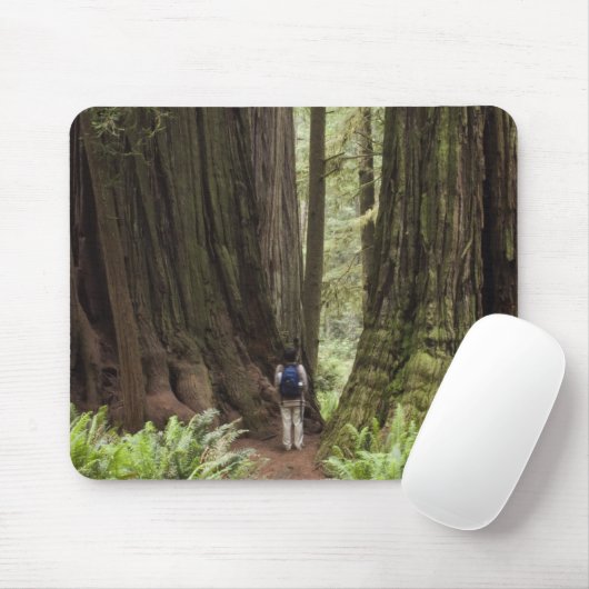CA, Jedediah Smith Redwoods Staat Park, Mousepad (Mit Mouse)