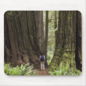 CA, Jedediah Smith Redwoods Staat Park, Mousepad (Vorne)