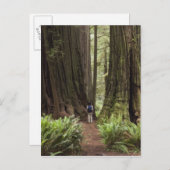 CA, Jedediah Smith Redwoods Staat Park, Postkarte (Vorne/Hinten)