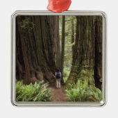 CA, Jedediah Smith Redwoods Staat Park, Silbernes Ornament (Vorne)