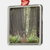 CA, Jedediah Smith Redwoods Staat Park, Silbernes Ornament (Links)