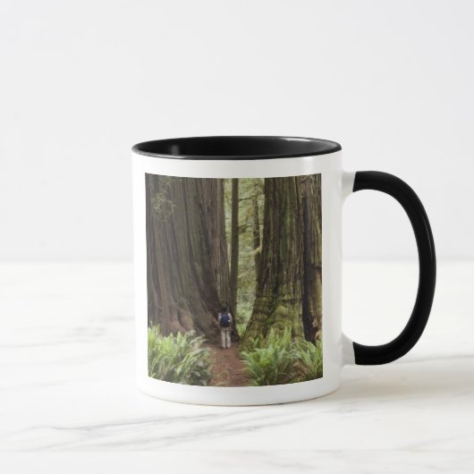CA, Jedediah Smith Redwoods Staat Park, Tasse (Rechts)