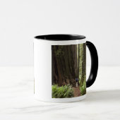 CA, Jedediah Smith Redwoods Staat Park, Tasse (VorderseiteRechts)