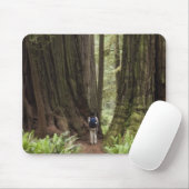 CA, Jedediah Smith Redwoods State Park, Mousepad (Mit Mouse)