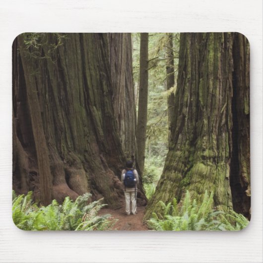 CA, Jedediah Smith Redwoods State Park, Mousepad (Vorne)