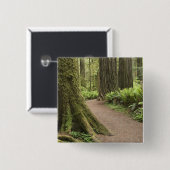 CA, Jedediah Smith Staat Park, Simpson Reed Button (Vorne & Hinten)