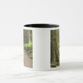 CA, Jedediah Smith Staat Park, Simpson Reed Tasse (Zentrum)
