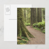 CA, Jedediah Smith State Park, Simpson-Reed Postkarte (Vorne/Hinten)