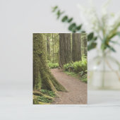 CA, Jedediah Smith State Park, Simpson-Reed Postkarte (Stehend Vorderseite)