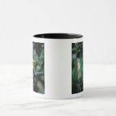 CA, Panama, Soberania NP, Keel-Billed Tuccan Tasse (Zentrum)