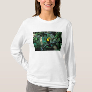 CA, Panama, Soberania NP, Tukan mit Keilschnabel T-Shirt