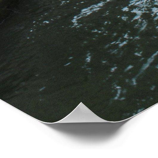 Ca' Pesaro Poster (Ecke)