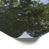 CA, Yosemite NP, El Capitan reflektiert in Merced Poster (Ecke)