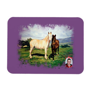 Caballos/Cabalos/Pferde Magnet