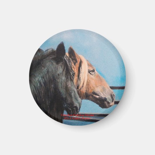 Caballos/Cabalos/Pferde Magnet (Vorne)