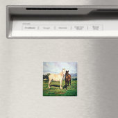 Caballos/Cabalos/Pferde Magnet (In Situ (Geschirrspüler))