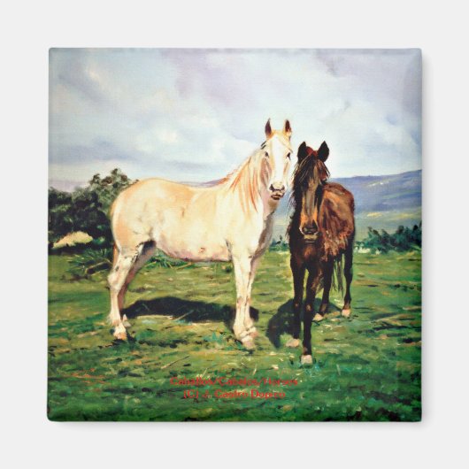 Caballos/Cabalos/Pferde Magnet (Vorne)