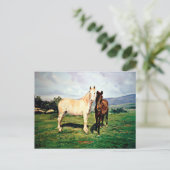 Caballos/Cabalos/Pferde Postkarte (Stehend Vorderseite)