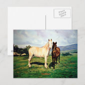 Caballos/Cabalos/Pferde Postkarte (Vorne/Hinten)