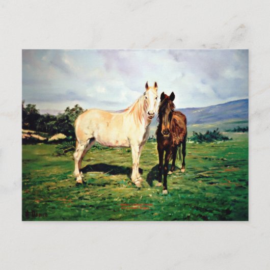 Caballos/Cabalos/Pferde Postkarte (Vorderseite)