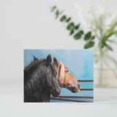 Caballos/Cabalos/Pferde Postkarte (Stehend Vorderseite)