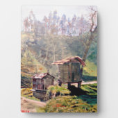 Cabazos Fotoplatte (Vorderseite)