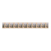 Cabazos Ripsband (Vorderseite)