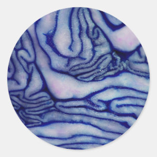 Cabbage Blue Runder Aufkleber