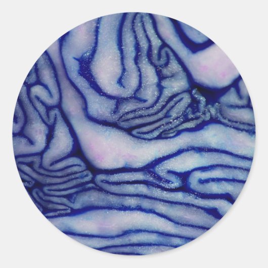 Cabbage Blue Runder Aufkleber (Vorderseite)