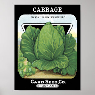 Cabbage Card Seed Co.-Päckchen Vintage Fredonia Poster
