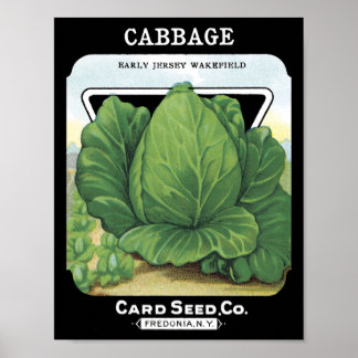 Cabbage Card Seed Co.-Päckchen Vintage Fredonia Poster