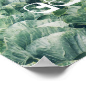 Cabbage Field: grün und lila Poster (Ecke)
