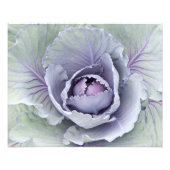 Cabbage Foto Print (Vorne)