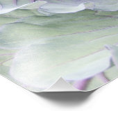 Cabbage Foto Print (Ecke)