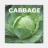 Cabbage Head Square Magnet (Vorne)