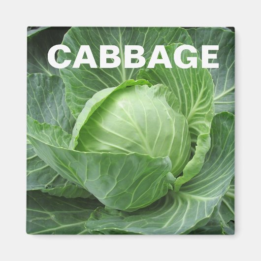 Cabbage Head Square Magnet (Vorne)