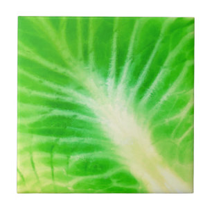 Cabbage Leaf Fliese