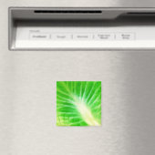 Cabbage Leaf Magnet (In Situ (Geschirrspüler))