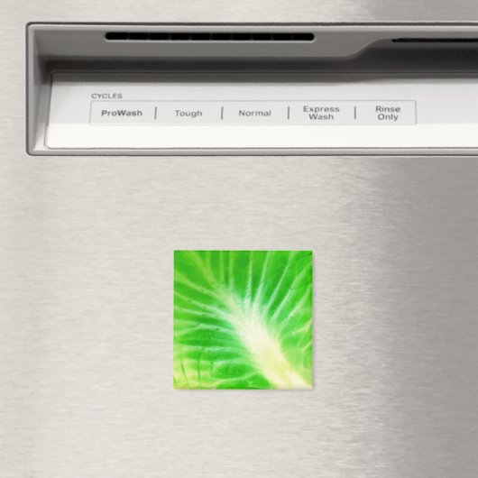 Cabbage Leaf Magnet (In Situ (Geschirrspüler))