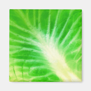 Cabbage Leaf Magnet