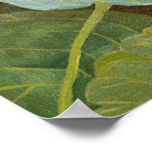 Cabbage Poster (Ecke)