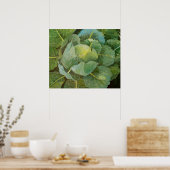 Cabbage Poster (Küche)