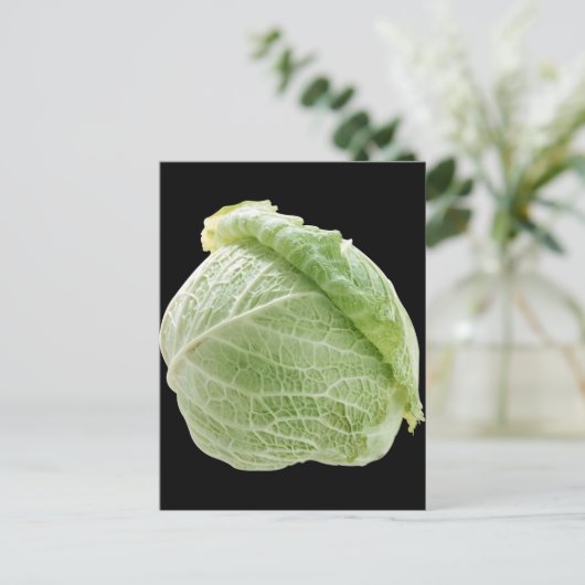 Cabbage Postkarte (Stehend Vorderseite)